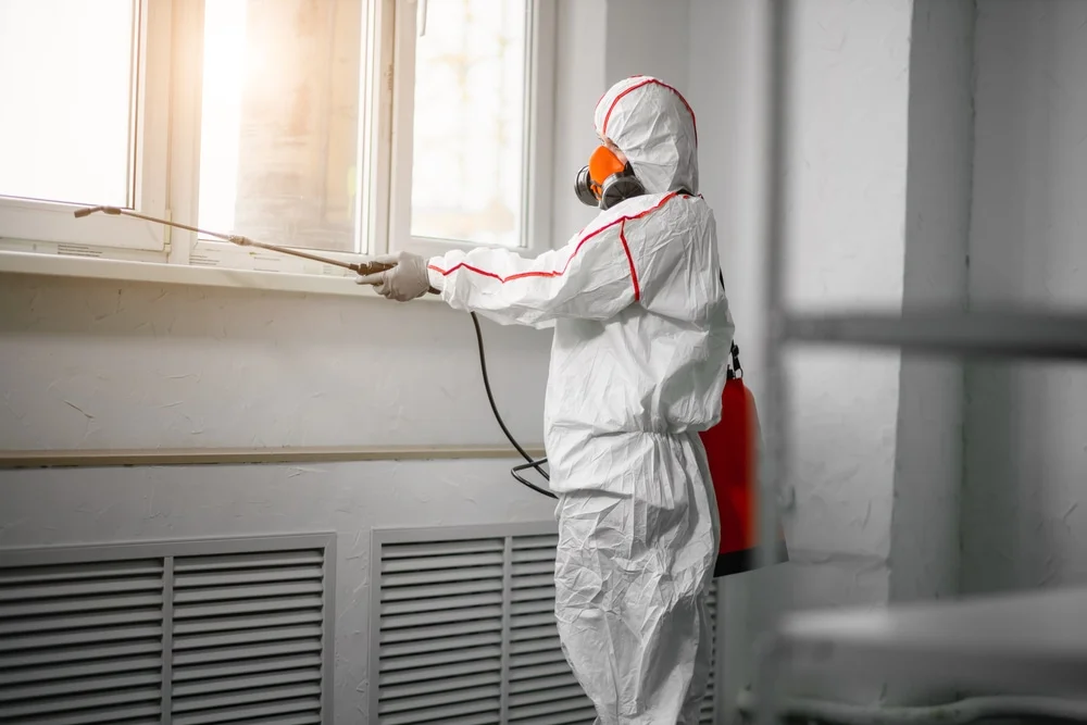 Professional mold remediation services in Mashpee, MA